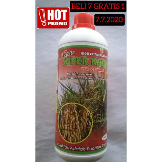 Super kalsium padi / fungisida padi / obat jamur padi