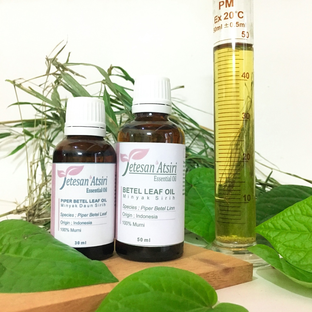 minyak atsiri daun sirih murni tanpa campuran piper betel leaf pure essential oil aromatherapy therapeutic grade diffuser humidifier burner aromaterapi esensial essensial esential penyulingan tanpa campuran TETESAN ATSIRI 10ml 30ml 50ml