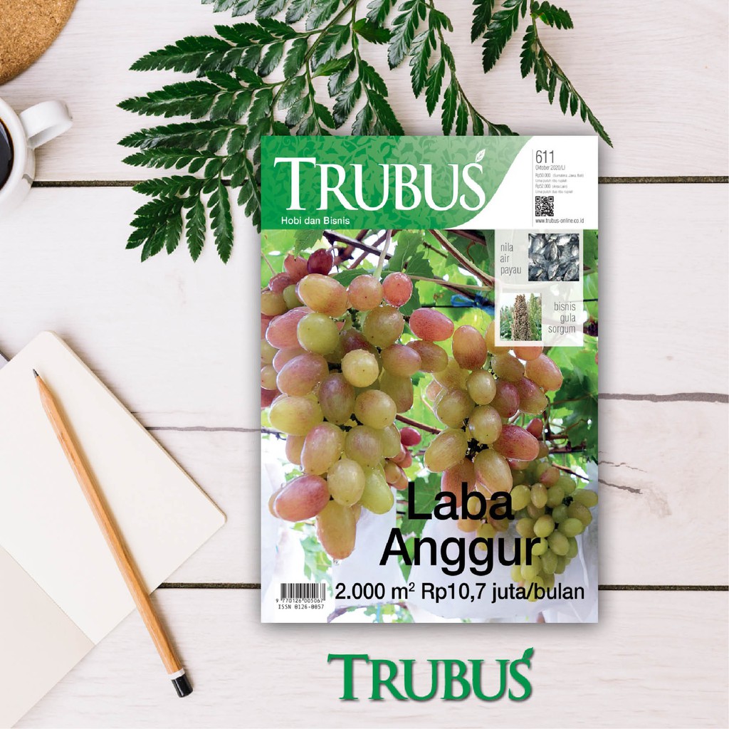 MAJALAH TRUBUS EDISI 611 OKTOBER 2020 (LABA ANGGUR)