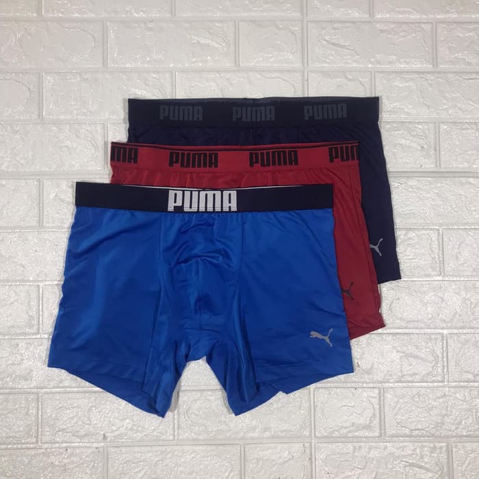 Boxer puma