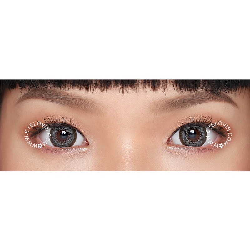 Eyelovin x Patricia Stephanie Softlens Neo Cosmo - Sage Xtra Grey N255