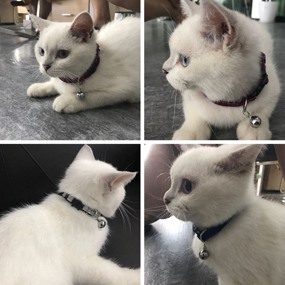 Kalung Anjing/Kucing Model Kepang Dengan Gesper