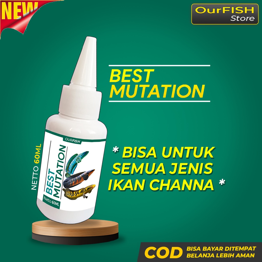 OURFISH - Obat Mutasi Pakan Pelet Ikan Channa Best Mutation Andrao Sentarum Auranti Maculata Limbata Booster