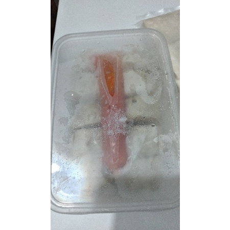 

Dimsum homemade isi 10 free saus