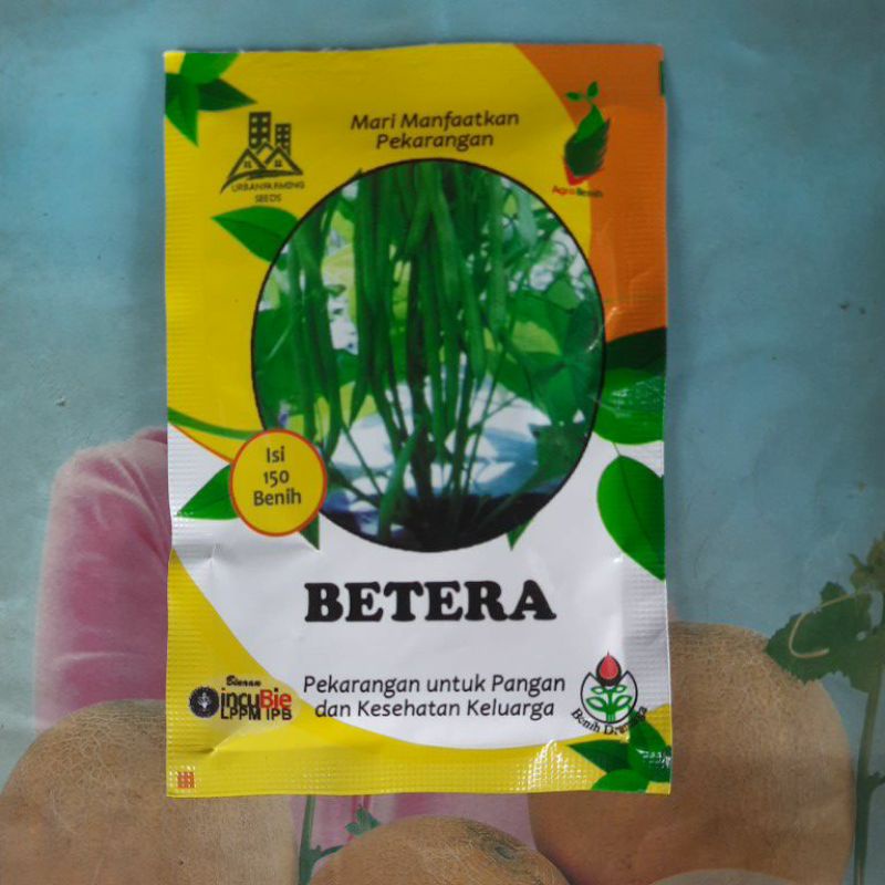 Benih Bibit Buncis Tegak Tanpa Lanjar BETERA Isi 150biji