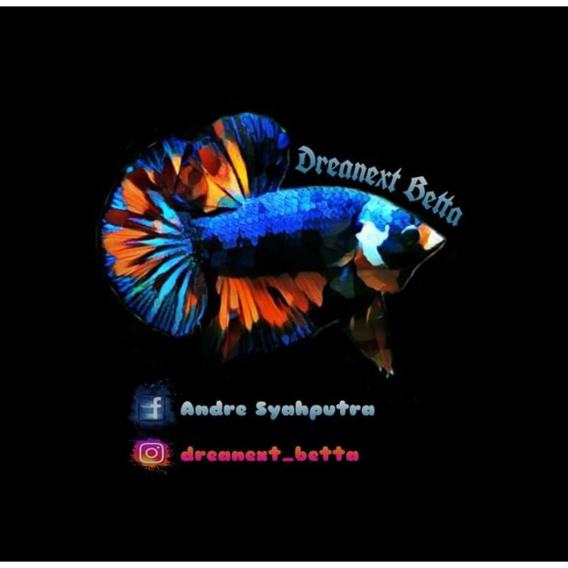 

Ikan Cupang White Platinum