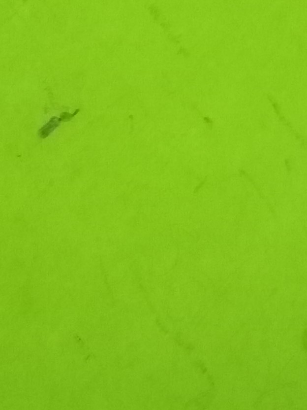 Rsb Cod Sendok Garpu Sumpit Polos Set 3 In 1 Kode Sps11 Perlangkapan Rumah Tangga Murah Dapur