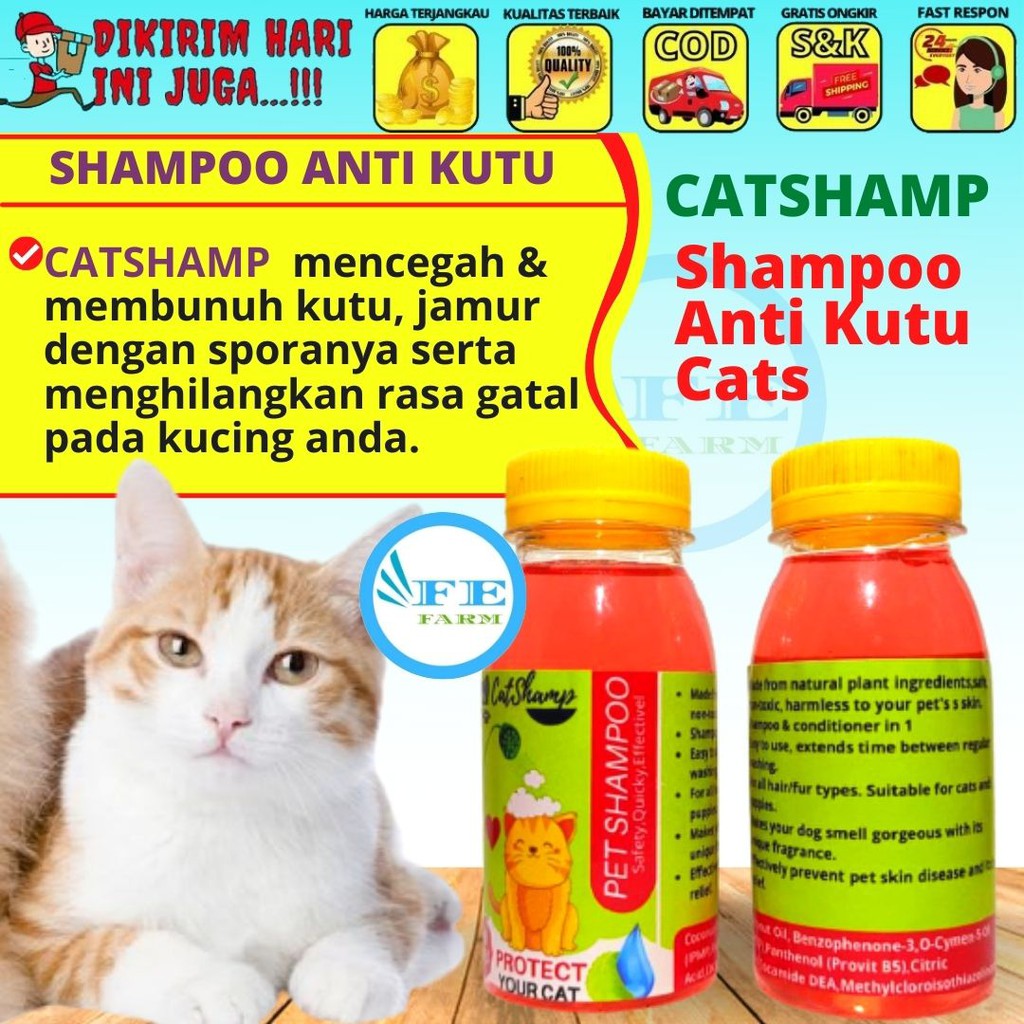 PAKET MANDI KUCING ANJING Dapat Handuk Shampoo Sisir FEFARM