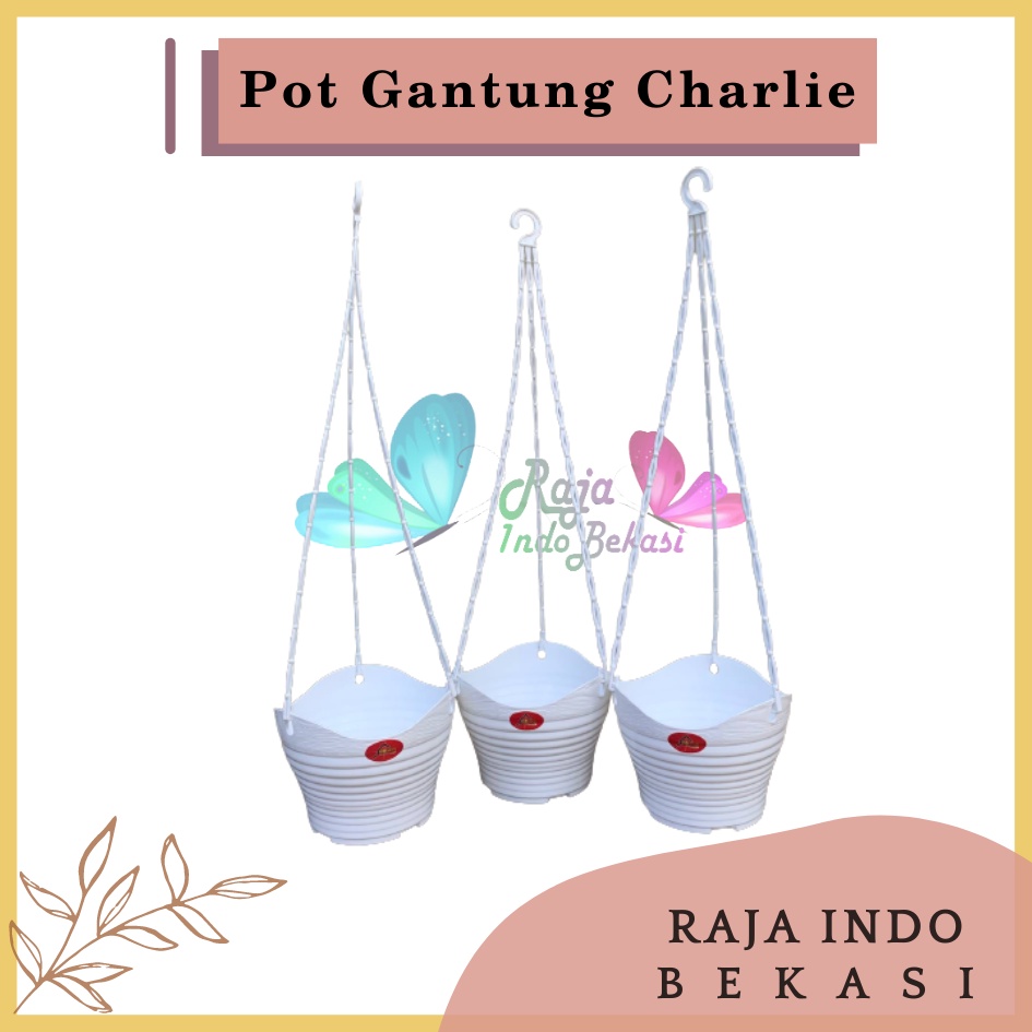 Pot Bunga Gantung Alexish 116 Baby Charlie 20 Putih Mirip Pot Gantung Gentong Lovenia Pot Gantung Putih Anggrek Murah Unik Tinggi Lion star
