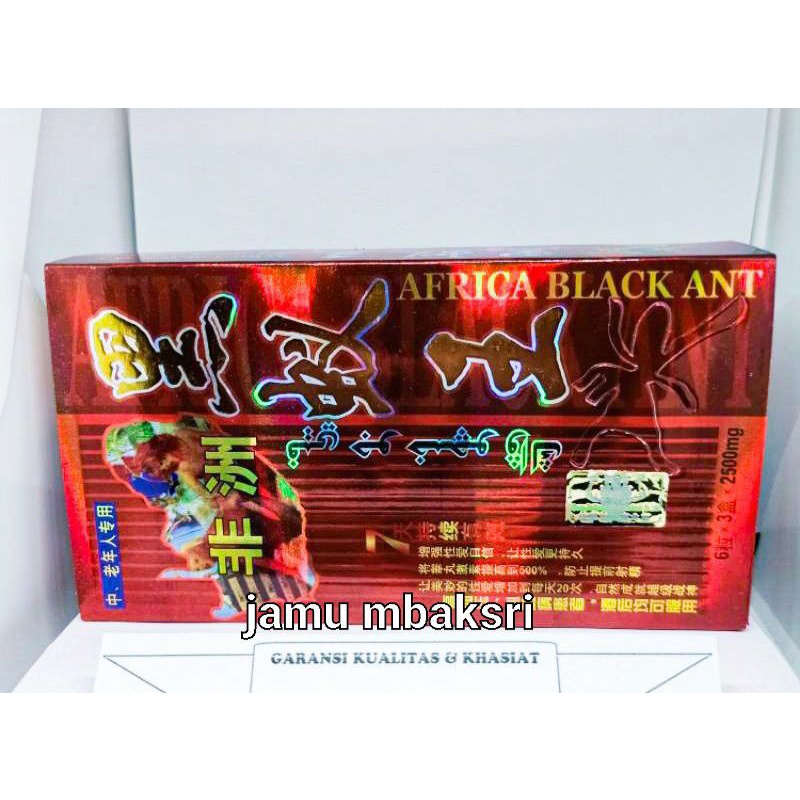 SEMUT MERAH / SEMUT AFRIKA /AFRIKA BLACK ANT KING