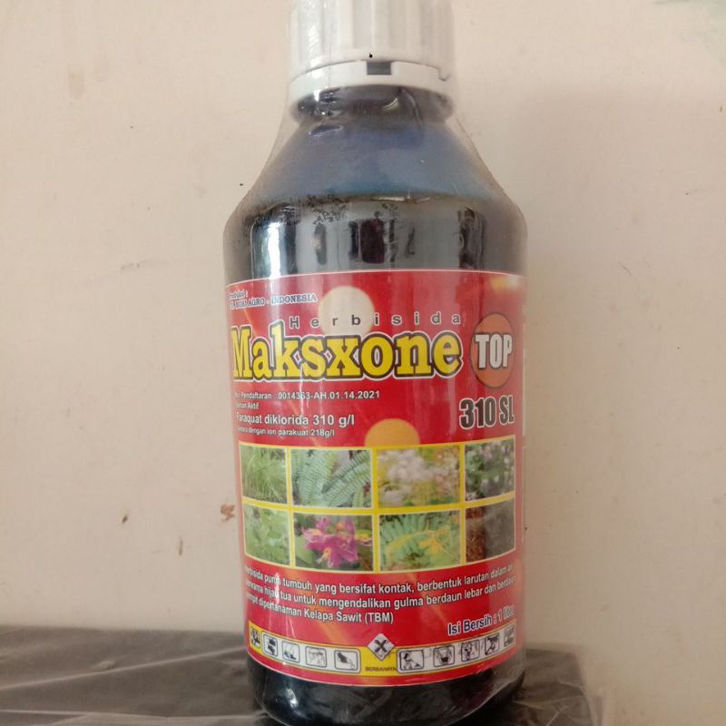 Herbisida MAKSXONE TOP 310 SL