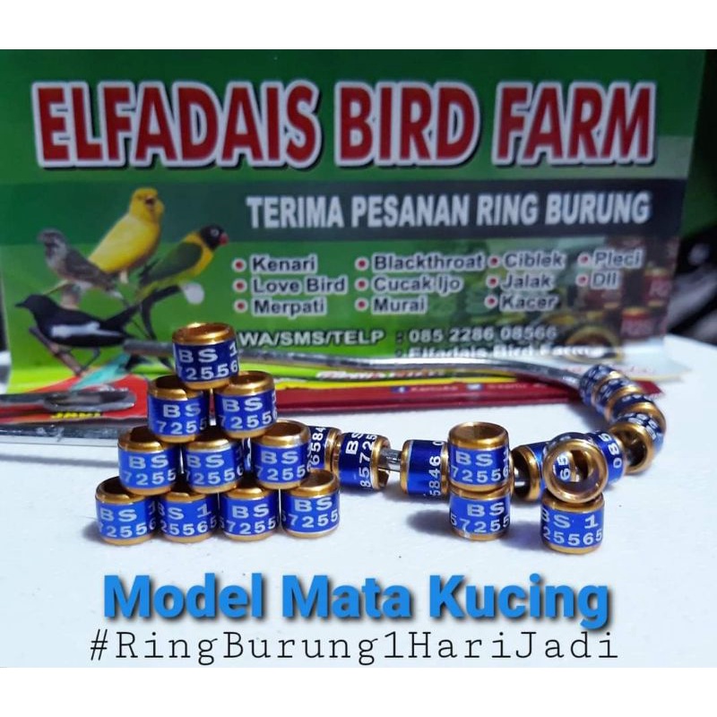 RingBurung 25Pcs MataKucing Lazer 1HariJadi