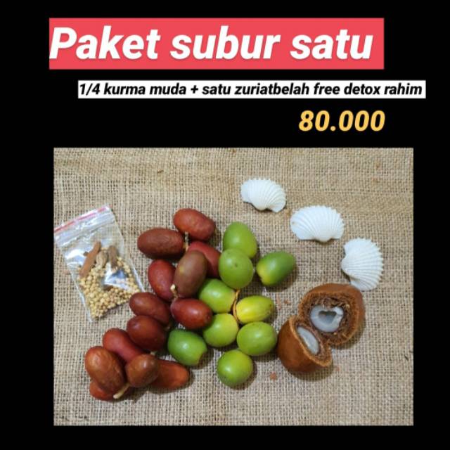 

KURMA MUDA MURAH PAKET SUBUR