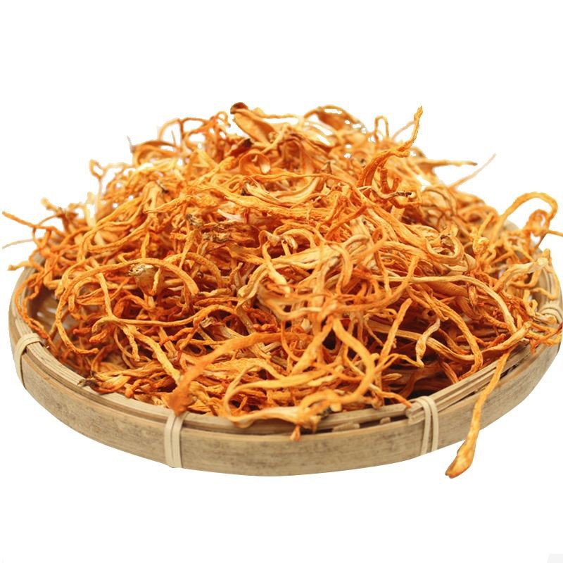 jin chong cao cordyceps militaris 100 gram