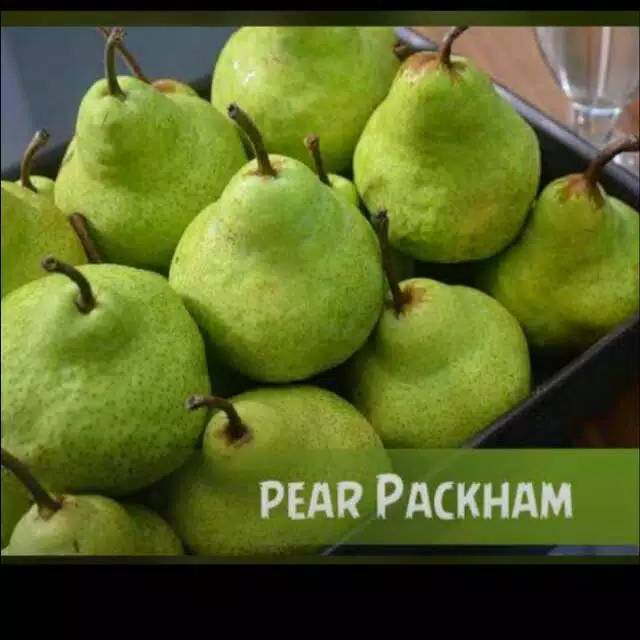 

Pear hijau Pacham