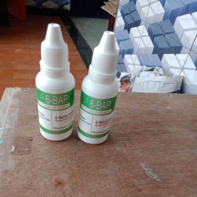 hormon 6 BAP hijau