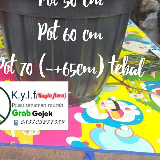 ● pot besar 70 / pot plastik / pot tanaman / pot / pot bunga / pot hitam - 50 cm ♪
