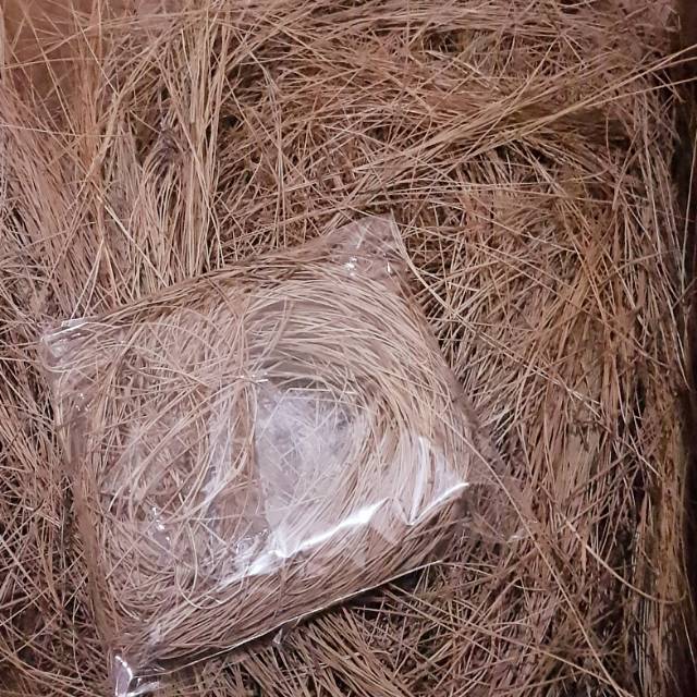  DAUN  PINUS KERING BERSIH TERMURAH BAHAN RUSTIC BAHAN RING 