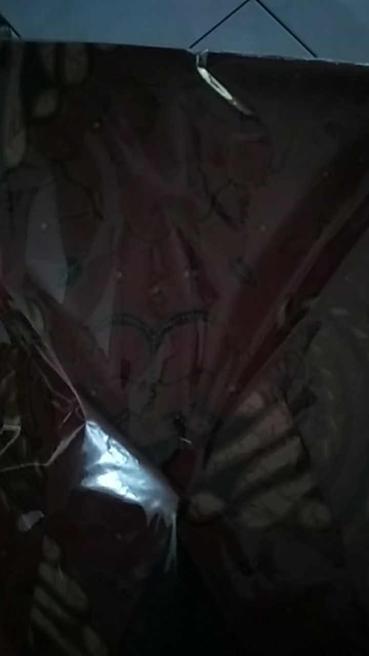 Adiwijaya Kemeja Batik Pria Lengan Pendek By Batik Kanaya