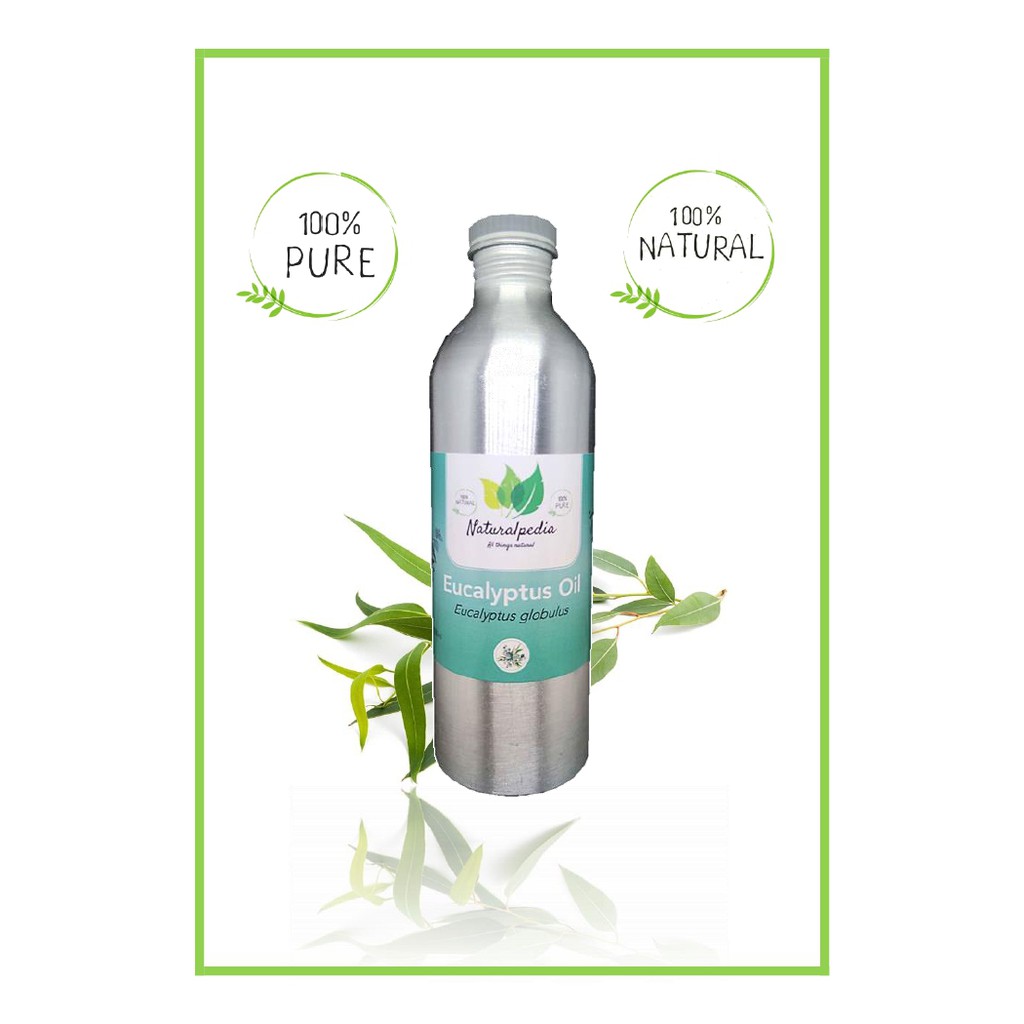 Pure Eucalyptus Essential Oil / MInyak Esensial Atsiri Eucaliptus Eukaliptus Murni 500ml