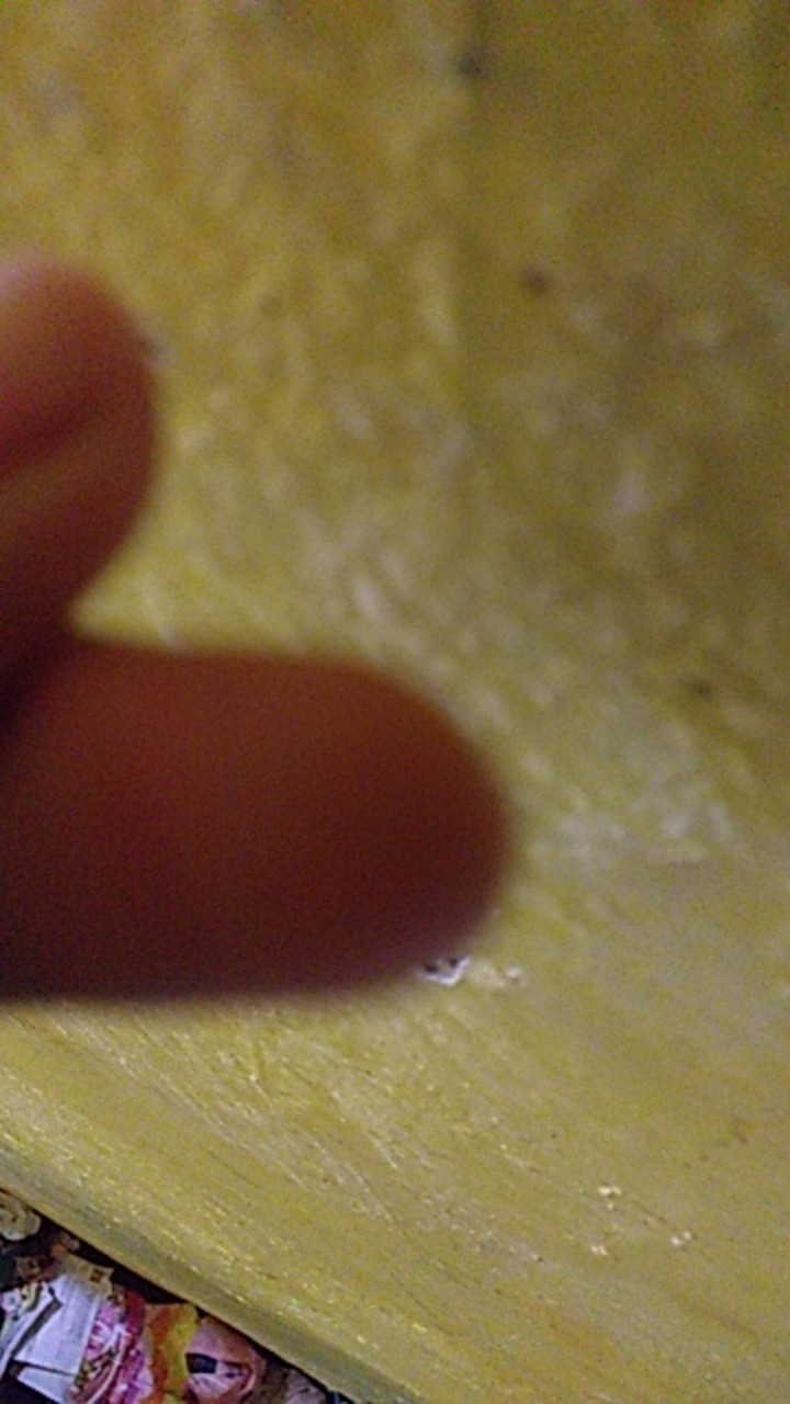 Pisau Dapur Baja Full Tang Murah