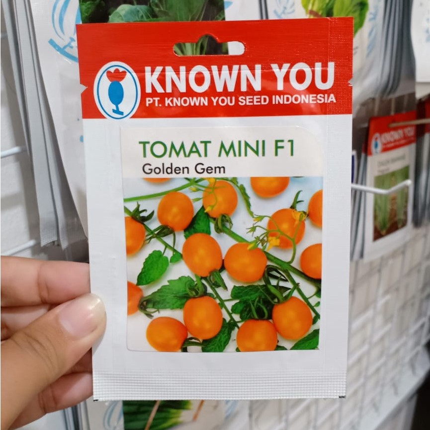 KYS - benih TOMAT CHERRY GOLDEN GEM 50 biji - benih tomat mini - known you seed