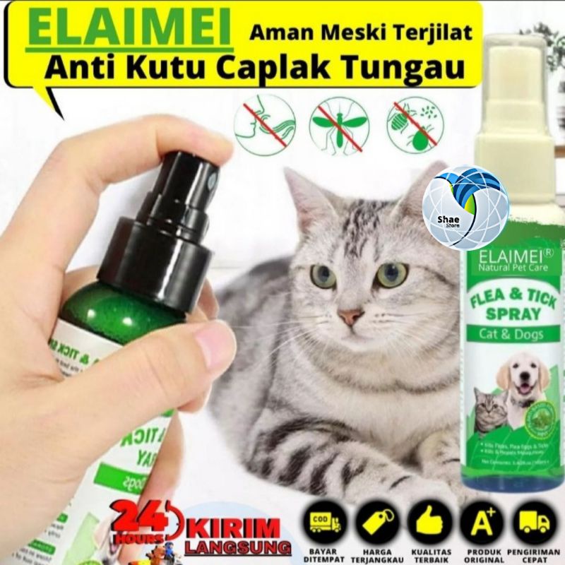 OBAT KUTU KUCING ANJING SEMPROT SPRAY AMPUH DAN AMAN MESKI TERJILAT