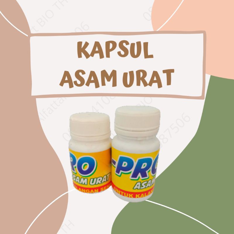 

KAPSUL ASAM URAT PROBIOTIK BIO TH
