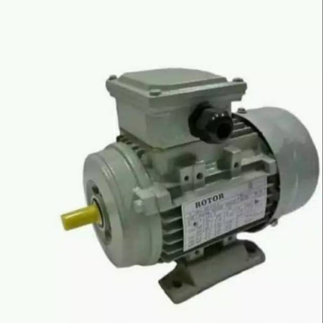 (B2T) DINAMO pengerak electro motor merk rotor power 5.5hp/2pole/3phase B3