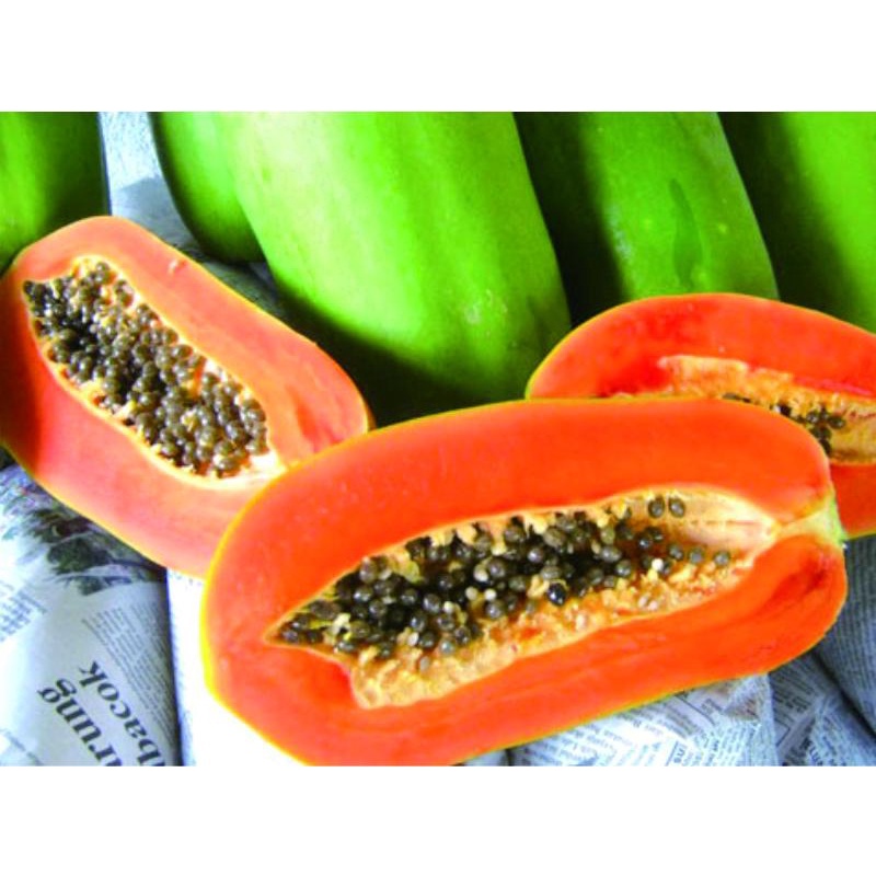 

Papaya