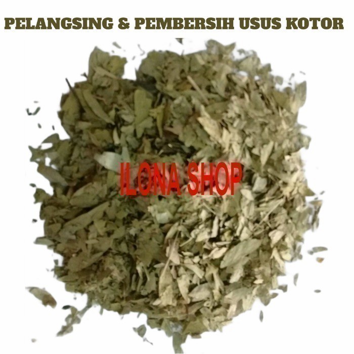 

ORIGINAL MURAH 1 KG DAUN TEH SALAMAKI HERBAL PELANGSING DAN PEMBERSIH USUS KOTOR