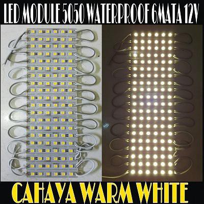 LED Module 6 Mata 5050 DC12V Waterproof