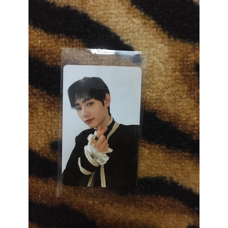 [READY STOCK] PHOTOCARD SUNGHOON DUSK ENHYPEN LOVE KECIL SARANGHE A B C PC PHOTO CARD ALBUM