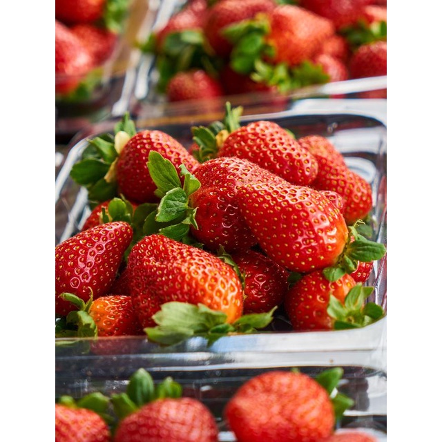 

BUAH SEGAR BUAH STROBERI BUAH STRAWBERRY FRESH 200grm/ STROBERRY STROBERY BUAH SEGAR BUAH BUAHAN