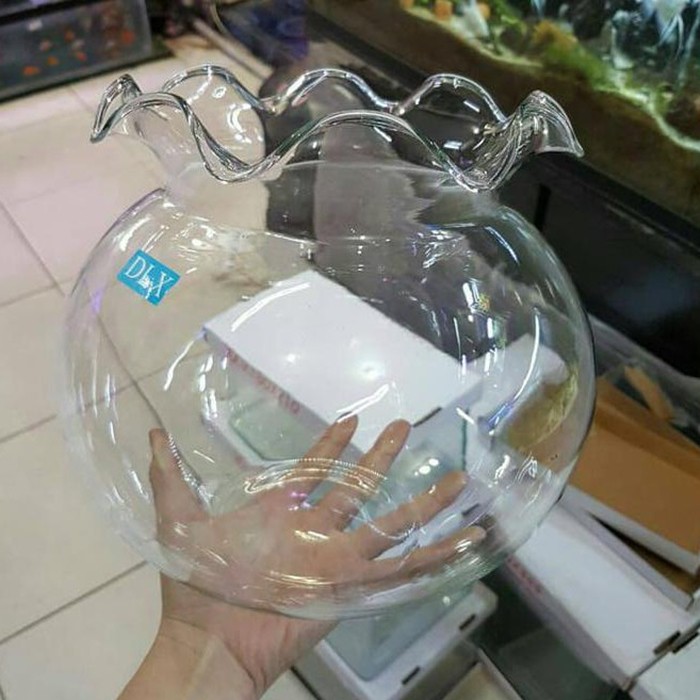 Aquarium Bulat 12L SHELLA 12 Liter Fish Bowl Toples Ikan Undian