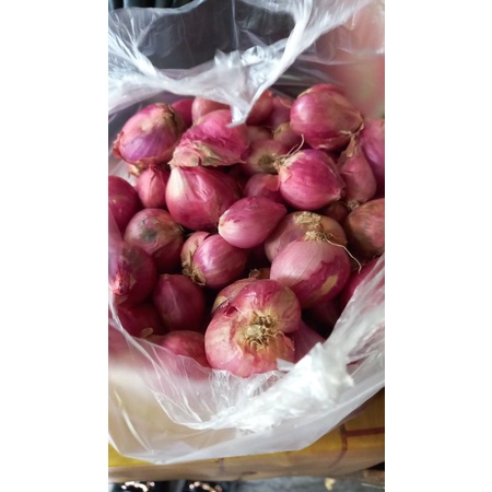 

bawang merah