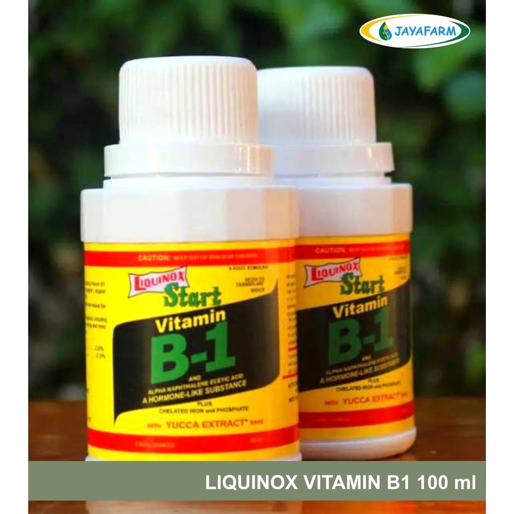 Jual LIQUINOX VITAMIN B1 100ML HORMON PUPUK CAIR ZPT ORIGINAL | Shopee ...