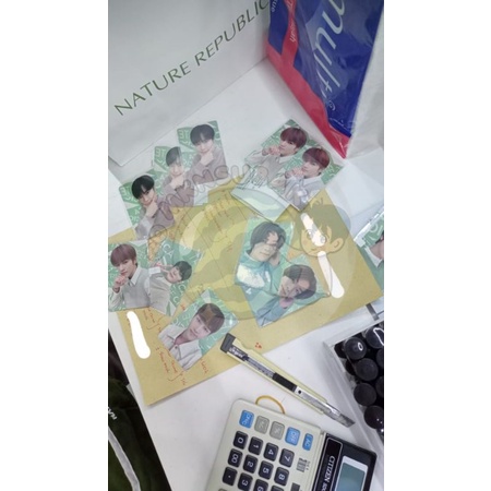 pelunasan natrep