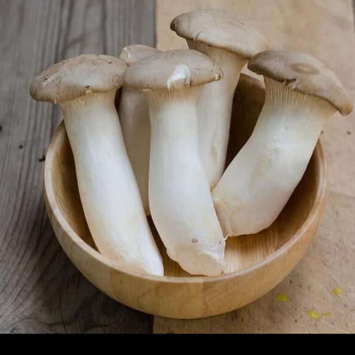 

TERMURAH MUSHROOM KING OYSTER JAMUR Per Pax - SAYUR SEGAR The GOODFRUITS Kode 645