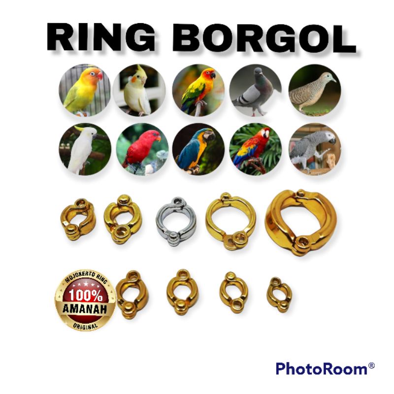 RING BORGOL /RING BORGOL SUNCONUR/PAROT/RING BORGOL LOVEBIRD/RING BURUNG FALK/RING BURUNG NURI/RING 