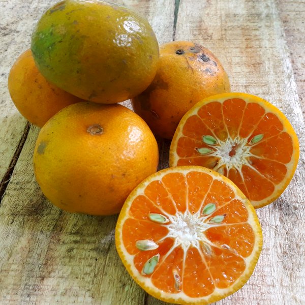 

Jeruk Medan Manis 1 Kg