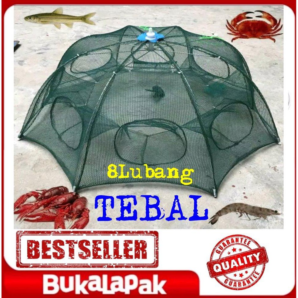 TERLARIS  Jaring perangkap ikan - jaring perangkap udang - jaring jebakan ikan - bubu - Umbrella