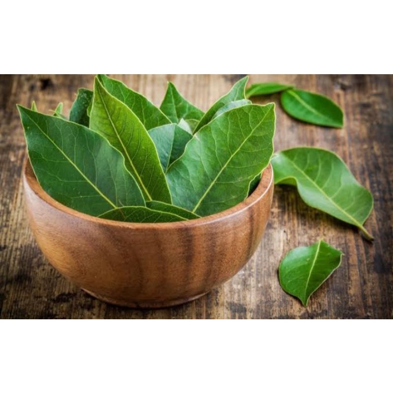 

Daun Salam murah serba 3rb