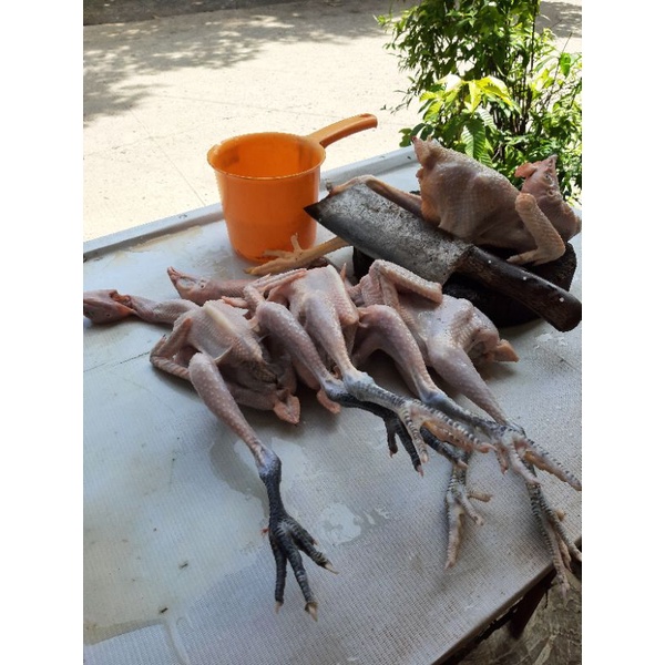 

Ayam Kampung asli fresh