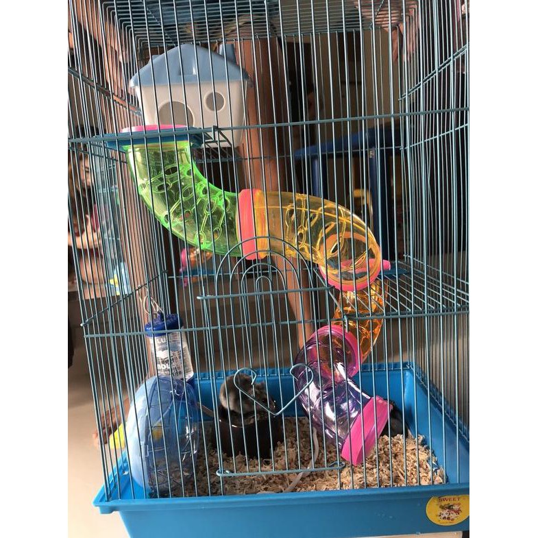 Kandang Hamster Tingkat 3
