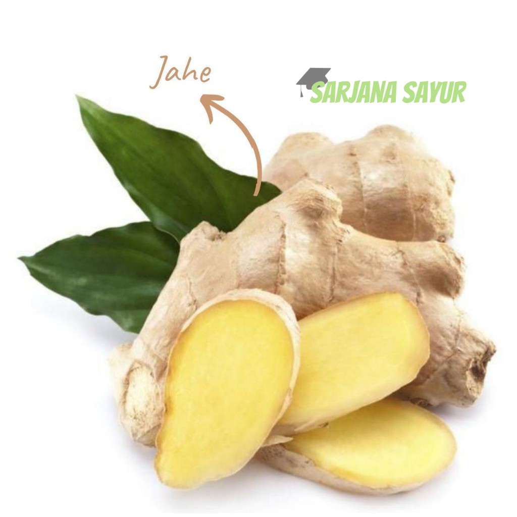 

Jahe 100gr / Sarjana Sayur