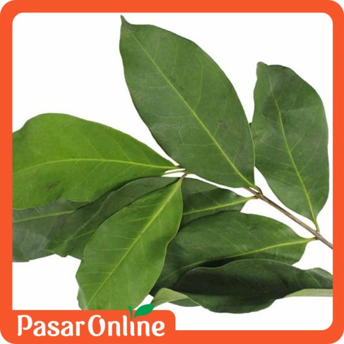 

Daun Salam 100 gram
