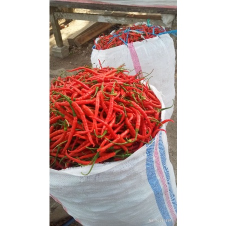 

sabai segar