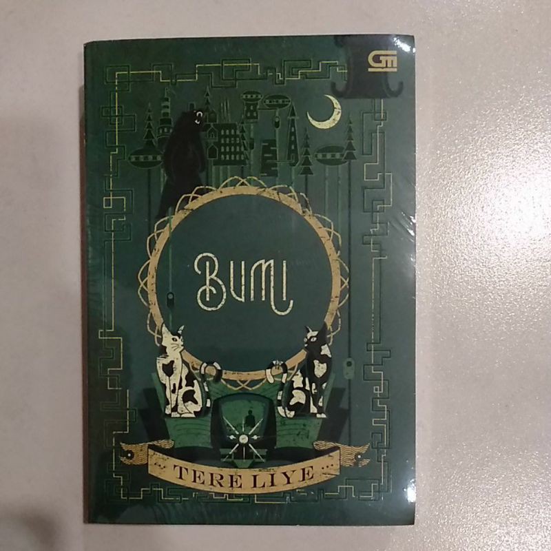 novel bumi tere liye