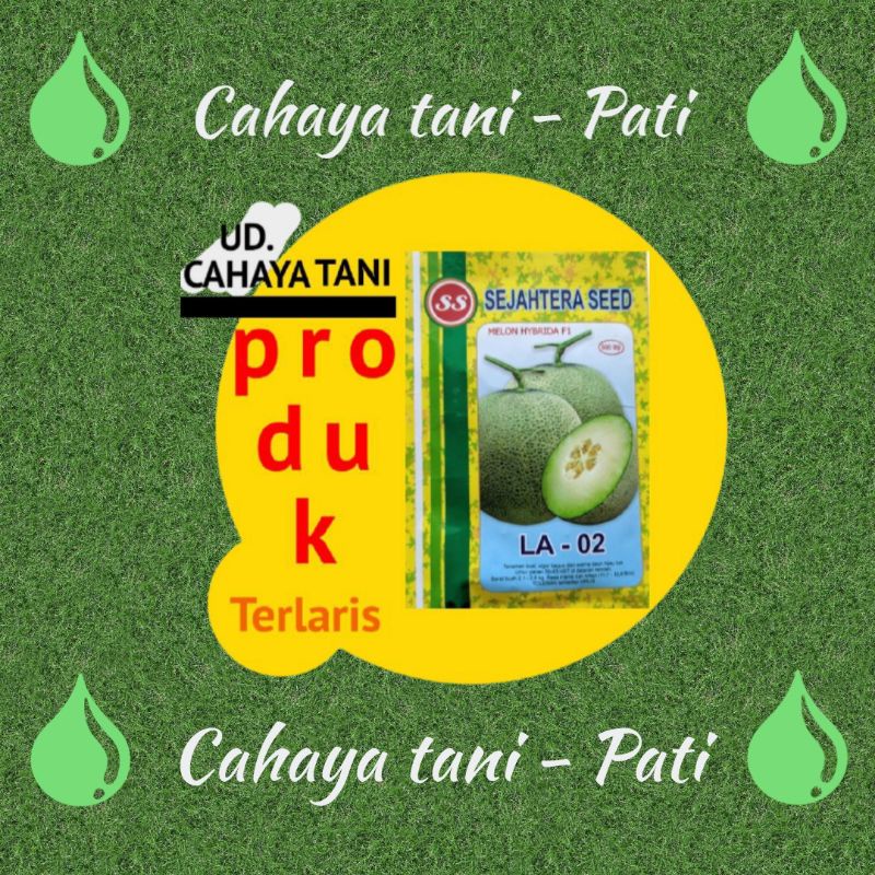 melon f1 la 02 anti virus terlaris